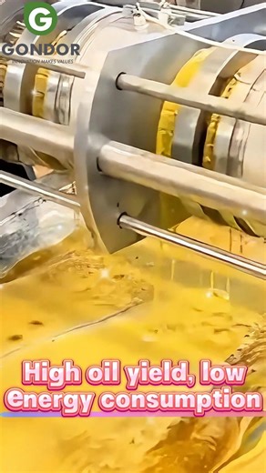Agricultural Oil Press Machine – High-Efficiency, Cold/Hot Press for 20+ Oil Seeds🥜🏭#oilpressmachine