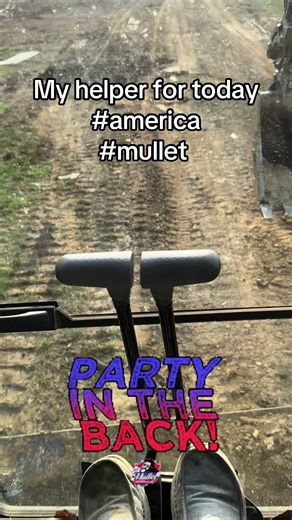 Let the mullet fly #merica