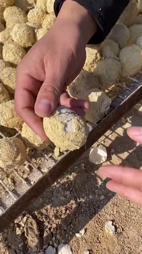 Golden Egg Reveal ✨ So Satisfying to Watch! 🥚🔥#youtubeshorts #food