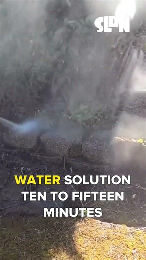 Stop Moss Regrowth: Bleach Trick Before Pressure Washing