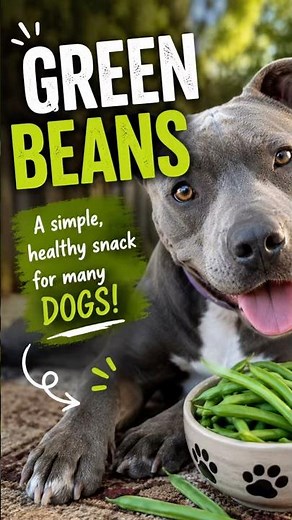 Can Dogs Eat Green Beans? 🥬 A Healthy Treat for Most Dogs!