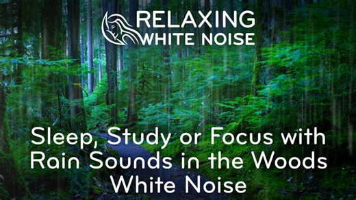 Sleep, Study or Focus With Rain Sounds in the Woods White Noise (2019)