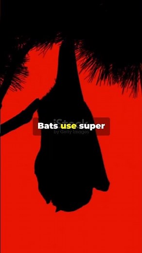 How to See Without Eyes!