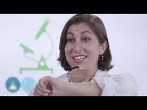 How to Use a Microscope