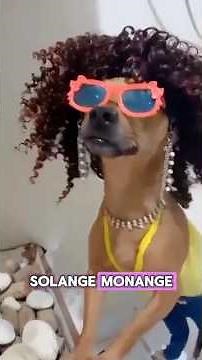 Animal Drama, animal Oscars.😂😹😻🤪🤣#shorts #animals #fypシ #viral #humor #memes #funny