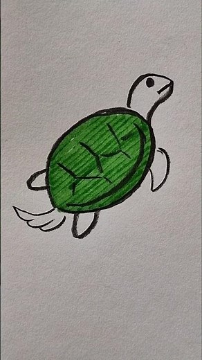 How to Draw Sea Turtle Easy Step-by-step