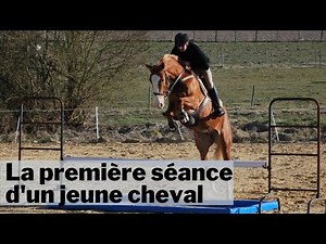 [CSO] La première séance d'un jeune cheval