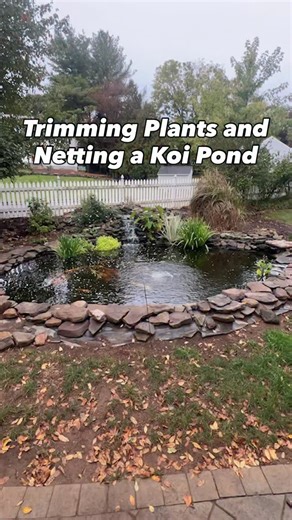 2.5K views · 30 reactions | An important step in getting your pond or water garden ready for winter is trimming back your plants and pulling any dead foliage out. Why? Because that is the stuff that will decay and make your pond a nightmare in the spring! | Atlantis Water Gardens | Facebook
