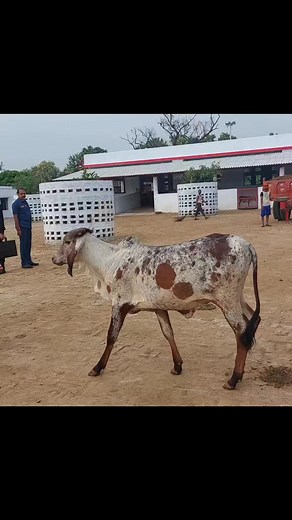 5.8M views · 460K reactions | Fan Yogi Adhitya nath ji | Team Kalu Kudal | Facebook