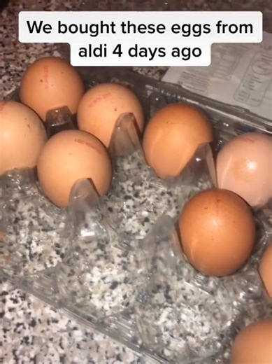 Hilarious Moments from Hatching