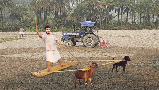 4.6M views · 10K reactions | Tottally Joke Amazing Fun BindasFunJOKE | JOKE | Bindas Fun Joke | Facebook