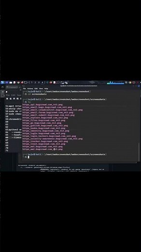 Bug Bounty Recon Made Easy with WebScreenshot Full Setup & Usage Guide