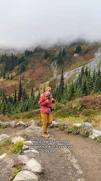 What it’s like to hike at Mount Rainier National Park!
