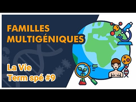 Multigenic Families-SVT - LIFE Special Term #9 - Mathrix