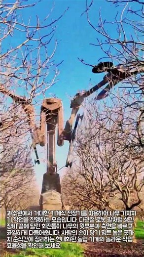 거대 전정기의 과수 수형 관리 과정 #worker #process #pruning #orchard #machinery
