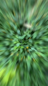 🌿 Discover the AMAZING benefits of MAGNESIUM OIL! Ease anxiety, relax tense muscles, feel calmer and sleep better 💪😌*Just a Friendly Little Disclaimer: Although Magnesium oil is incredible and 75% of us walking around are totally deficient in this vital mineral - as with anything else, similar results can unfortunately never be guaranteed and it might not work for everyone #magnesiumoil #naturalremedy#healthbenefits #anxietyrelief#musclerelaxation #mindfulness#wellnessjourney #selfcare #heath