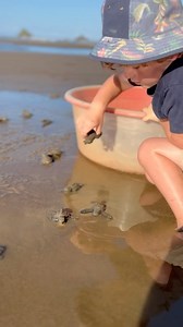 5.2K views · 60 reactions | Join Tropic Star Lodge in Protecting 5...