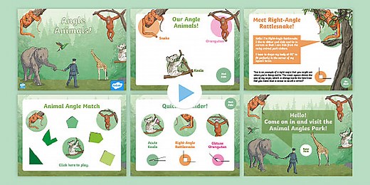 Year 4 Geometry: Animal Angles PowerPoint
