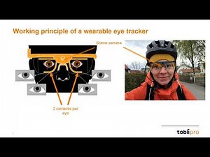 Beginner's Guide to Screen-Based Eye Tracking | Research Setup, Design & Analysis