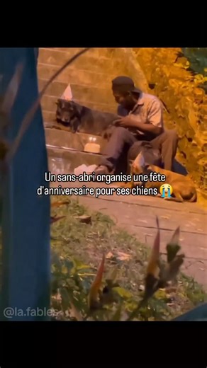 la.fables on Instagram: "Un sans-abri nommé Choco, vivant dans les rues de Colombie, est devenu viral après avoir été filmé en train d'organiser une petite fête d'anniversaire pour ses deux chiens, Shaggy et Nena. Il s'est assis sur les marches avec eux, a sorti un gâteau, leur a mis des chapeaux de fête sur la tête et leur a chanté « Joyeux anniversaire ». La vidéo a été vue par des millions de personnes en ligne, ce qui a donné lieu à des dons et à des manifestations de soutien qui l'ont aidé 