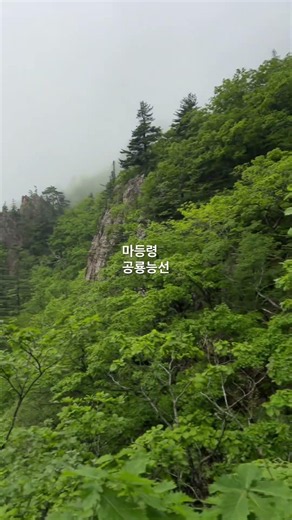 설악산#공룡능선#설악공룡#국립공원제1경#공룡의등비늘#쥬라기공원#설악산의쥬라기공원#마등령#나한봉#마등봉#1275봉#소공원원점회귀#오색소공원종주#탈출로없음#최소식수2리터