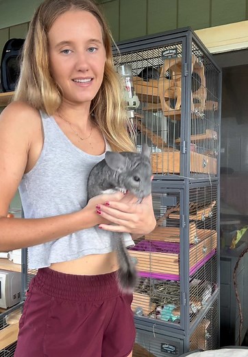 Chinchilla Dust Bath Day: A Fun Spa Routine