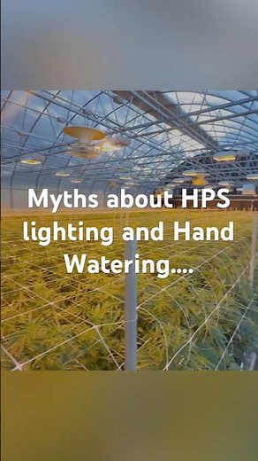 HPS vs LED vs Slow Drip Irrigation vs Hand Watering