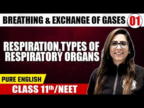 BREATHING & EXCHANGE OF GASES 01 | Respiration, Types of Respiratory Organs | Zoology | Class 11