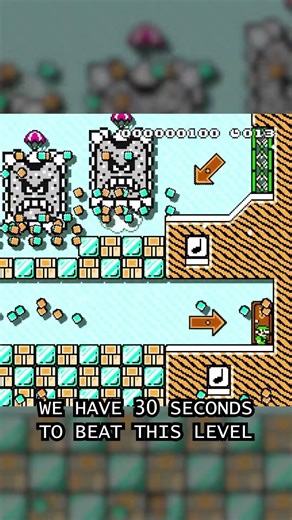 we have 30 seconds to beat this super mario maker 2 speedrun