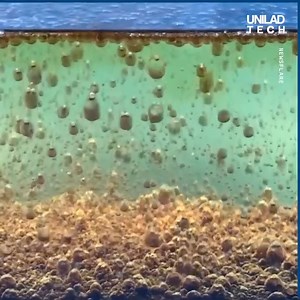 111K views · 449 reactions | Opening Coke with Mentos in oil creates a crazy reaction 勞 | LADbible New Zealand | Facebook