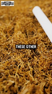 Could nicotine be a cure for Morgellons? Listen to the full episode wherever you get your podcasts! Brad Olsen | Beyond the Prison Planet: Monatomic Gold, Exotic Energy, Black Goo, & More on “The Higherside Chats”. #thehighersidechats #deeptalks #nicotine #MorgellonsSyndrome | The Higherside Chats