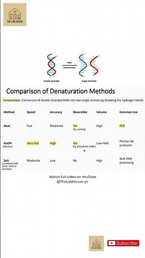 DNA Denaturation methods #dna #shorts