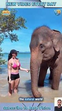 Mind Blowing Human Animal Encounters Captured in Real Life!
