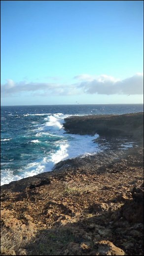 This is the edge of Aruba! It was an spectacular and ethereal view, with. Nothing but the sound of wind, waves, and birds! . .. ... #stjonworld #nature #naturephotography #wildlife #natureshots #aruba #ethereal #landscape #beach #mountain | StJon's World