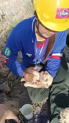 They save this puppy's life with CPR 🥹🐶