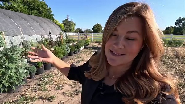 59K views · 4.9K reactions | Iseli Plant Load  + Veggie Garden Tour...
