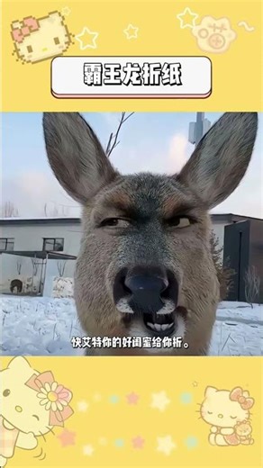 Master the T-Rex Origami in Just 30 Seconds