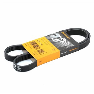 5PK1145 CONTITECH 5 PK 1143 Serpentine belt 1145mm, 5 | AUTODOC price and review