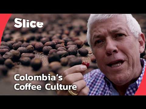 Colombia’s Mountain Coffee: Where the World’s Best Coffee Grows | SLICE