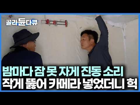 이때다 싶어 온 집안을 난장판을 만드는 놈들, 천정 구멍 뚫었더니 우르르｜극한직업｜#골라듄다큐