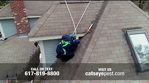Catseye Pest Control TV Spot, 'Bat Removal & Wildlife Exclusion Services'