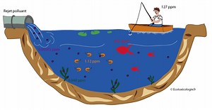Notions essentielles de l'écotoxicologie - Ecotoxicologie.fr