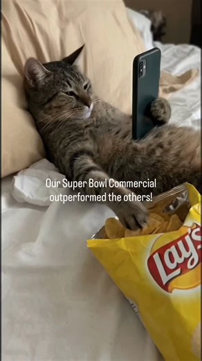 Lisa Harris Luxury Homes | Atlanta Real Estate on Instagram: "Upgrade your Super Bowl experience! 📺🔊 🐾 POV: Your cat is already saving its seat for next Super Bowl… and it’s at 909 Pathview Ct, Dacula in The Oaks! 😹🏈📱 Imagine next year’s big game at SoFi Stadium in Los Angeles 💥 but you’re hosting the party in this amazing home with snacks, a pool, and premium seating right here instead! ❤️ 📍 Snacks ✔️ 📍 Pool ✔️ 📍 Every seat = VIP game night ✔️ 👉 DM to tour 909 Pathview Ct + make next