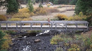 The TerraFlex is a high-performance, true minimalist trail running and hiking shoe. 🥾 Built with the same DNA as our best-selling Prio, TerraFlex lets your feet move, bend, flex and feel, the way they’re meant to. Then we’ve added a lugged sole for grip, and embedded 3mm of Barefoam™ inside the sole for extra protection and comfort. Plus, a durable Tough Tek toe bumper and more aggressive breathable mesh upper. Why you’ll love the TerraFlex: ✅ Natural FIT — A wide toe box lets your toes spread 