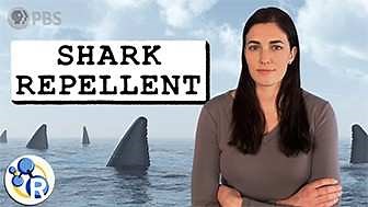 The US Military Gave Out Shark Repellent For Years. . . So Why Did They Stop? | Reactions Science Videos - American Chemical Society