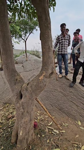 Brothers,how did you remove the snake from the car? | Snake in the village