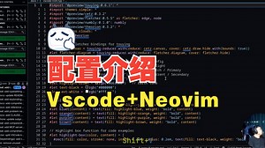 vscode-nvim-function-introduction