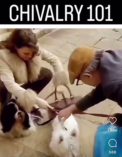 Comedy Moments from British Sitcoms Featuring Matt Berry