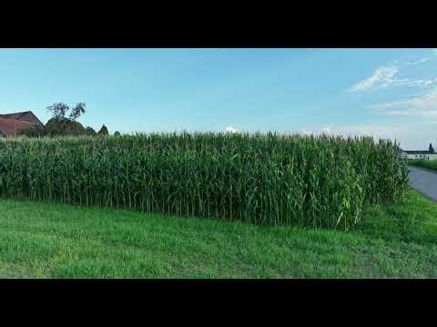 Falcon 25 Ride Testvideo 2