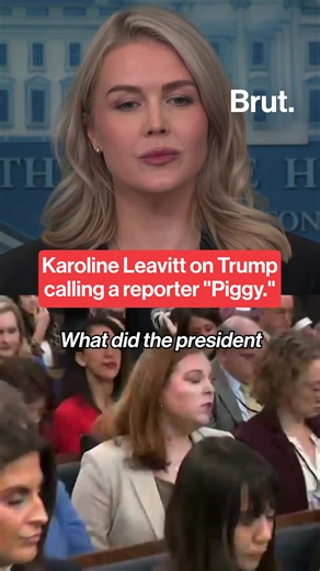 White House Press Secretary Karoline Leavitt spoke on Trump calling a reporter